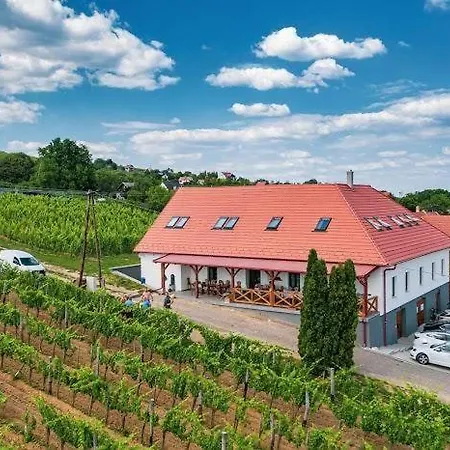 Somló Kolonics Kúria Vendégház 3*