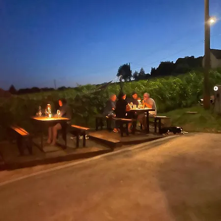 Vendégház Somló Kolonics Kúria 3*