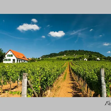 Somló Kolonics Kúria Vendégház 3*