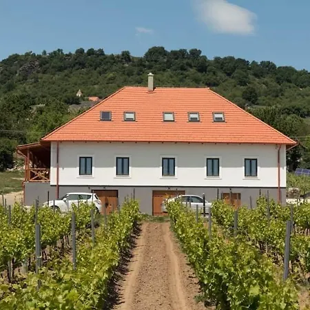 Vendégház Somló Kolonics Kúria Somlóvásárhely