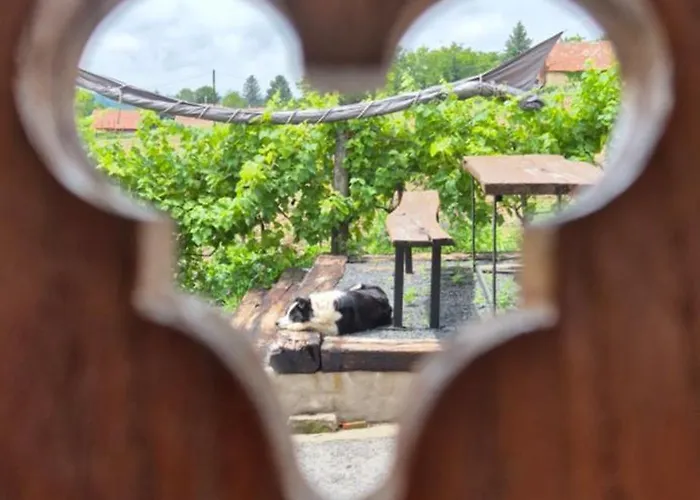 招待所 Somlo Kolonics Kuria 3*